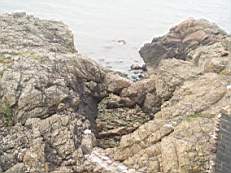 howthtower 1137.jpg